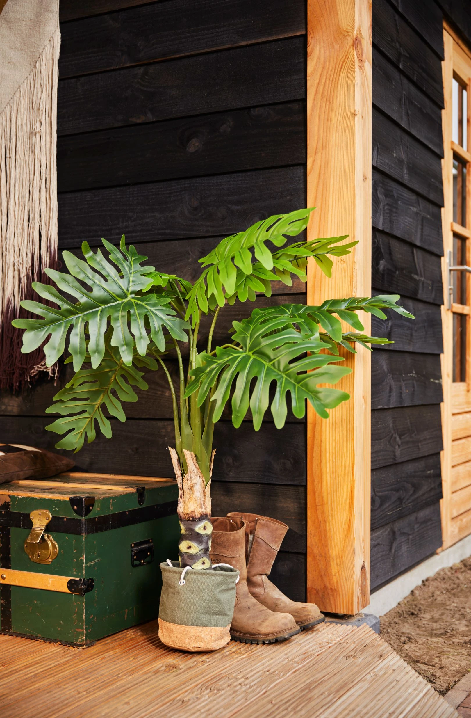 Douglas DIY kapschuur, 500 x 300, met achterwand, Westwood - Afbeelding 4